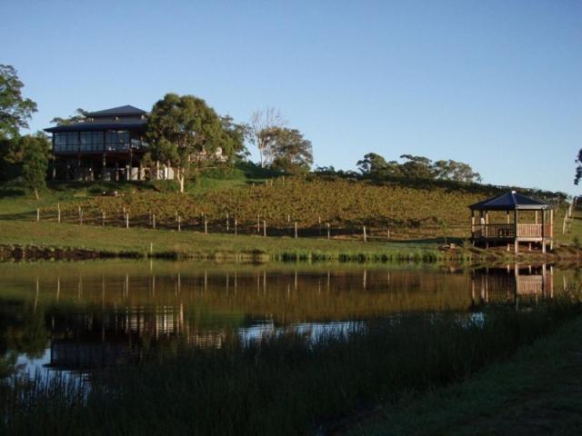 Oceanview Estate Vineyard Cottages Ocean View Kültér fotó